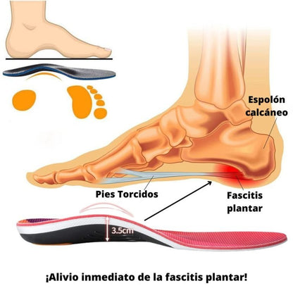 Plantillas Ortopédicas ¡Oferta Exclusiva de Junio!